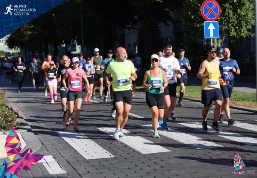 Galeria nr 1206